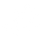 Texas Swagger
