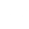 Texas Swagger logo